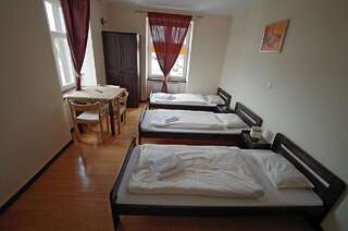 Отели типа «постель и завтрак» Hotelik Hermes Pieniężno Люкс с кроватью размера «king-size»-29